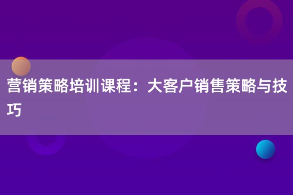 营销策略培训课程：大客户销售策略与技巧